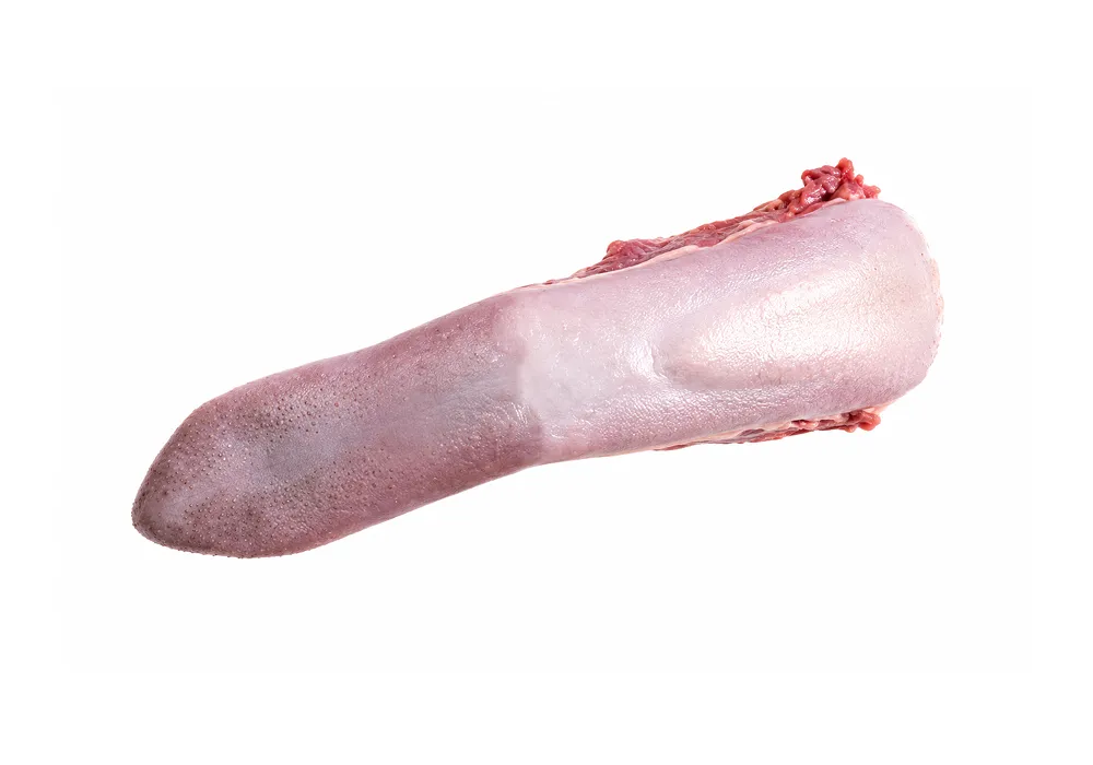 Tongue